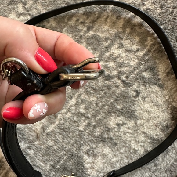 Coach Dog Collar and Leash - Picture 3 of 7